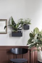 Wall Plant Box Rectangular