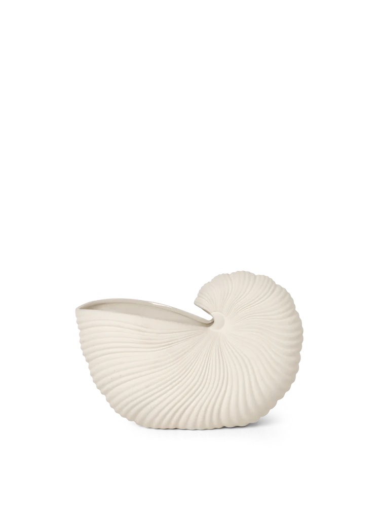 Shell Pot