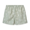 Duke Board Shorts: Miami/Dusty Mint