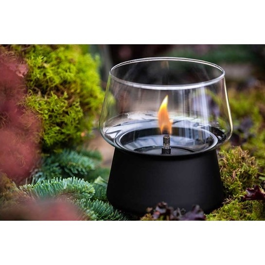 Amaryllis 14 Glass