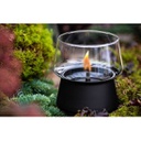 Amaryllis 14 Glass