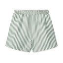 Duke Board Shorts: Stripe: Peppermint/Crisp White