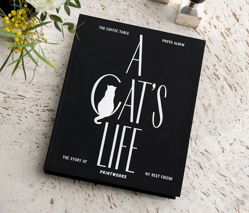 Cat Album - A Cat's Life