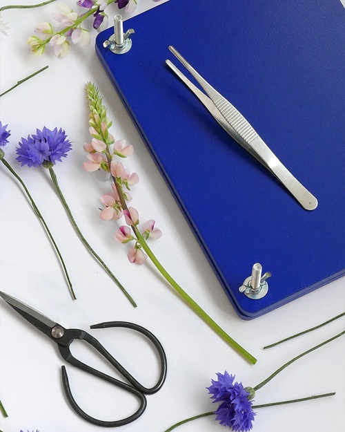 Flower Press Kit - Crafting Tool