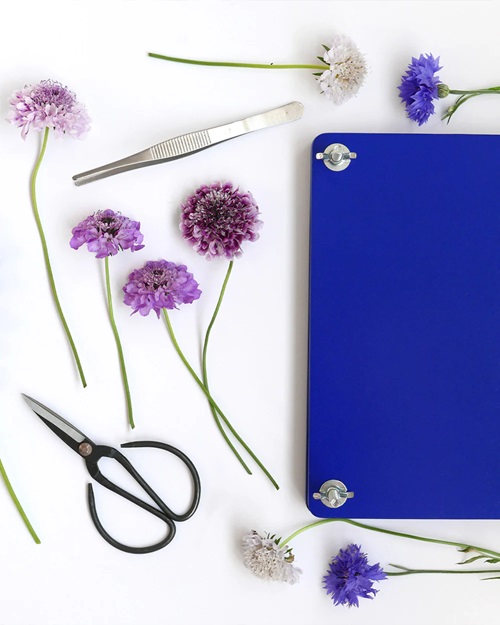 Flower Press Kit - Crafting Tool