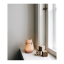 Winston Night Light, Cat