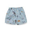 Duke board shorts - Sea Creature Mix