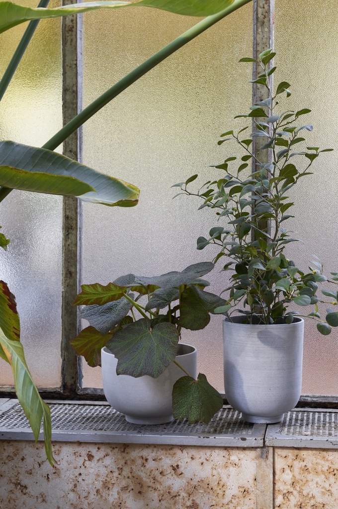 Collect Planter Pot, SC72