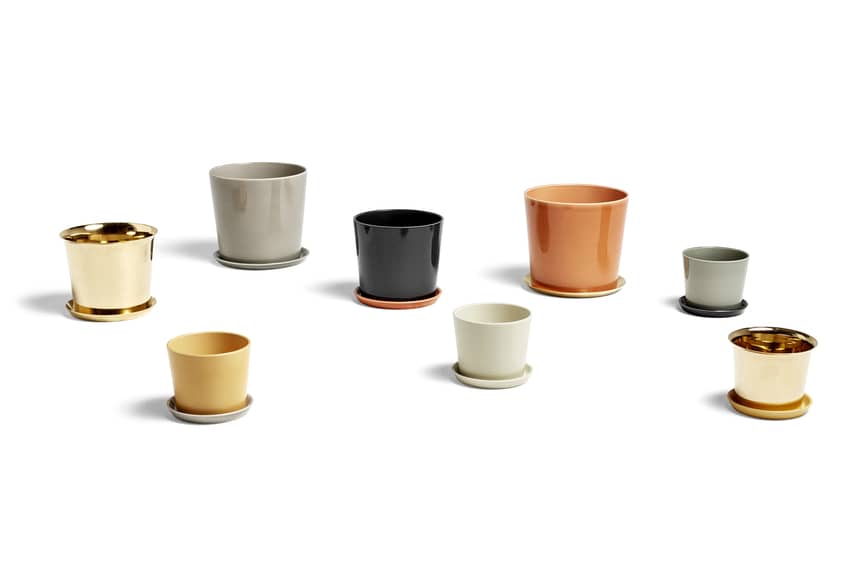Botanical Family Saucer M