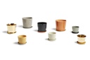 Botanical Family Saucer M