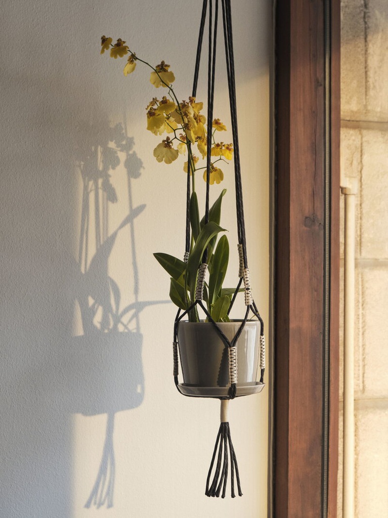 Phanta Plant Hanger