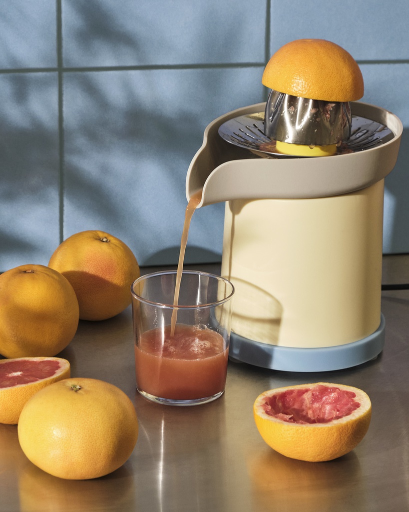 Sowden Juicer