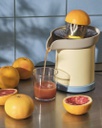 Sowden Juicer