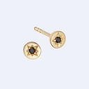 Polaris Black Spinel Stud Earring