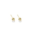 Duo Pearl Stud, Gold Plated (Set of 2)