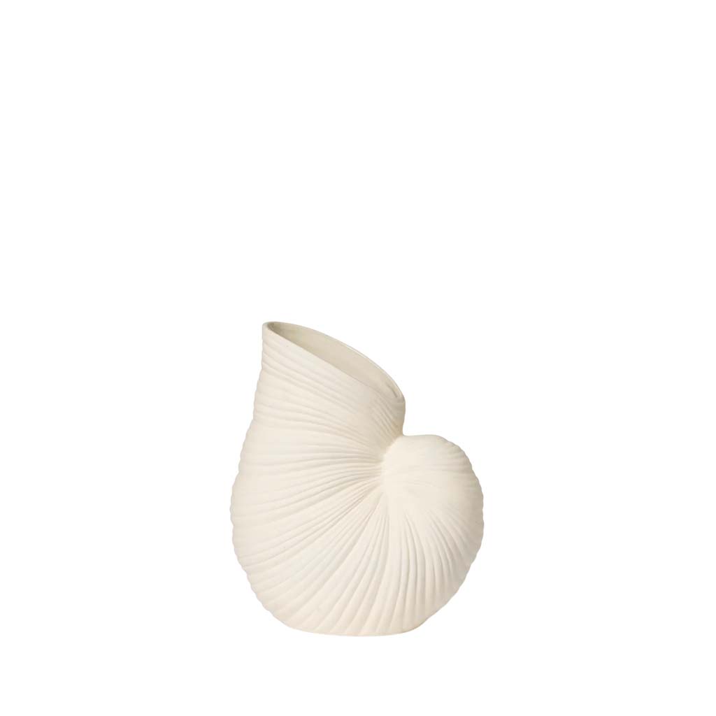 Shell Vase
