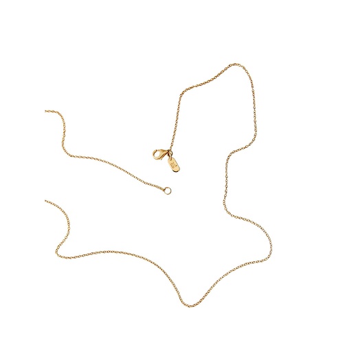 Gold Chain 60cm