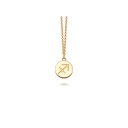 Zodiac Biography Pendant Necklace, Sagittarius Gold
