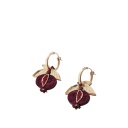 Mini Pomegranate Hoops