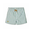 Duke Board Shorts: Stripe: Peppermint/White