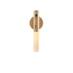 [LTGK00100] Smart Baton Light