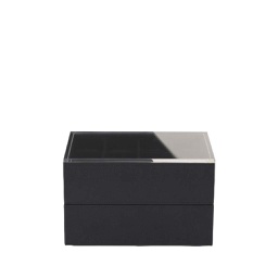 [FSMJ00300] STING Watch Box