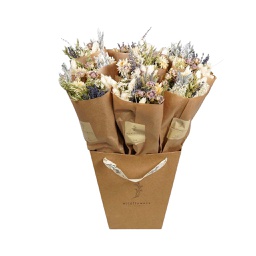 [HDFL03101] Dried Flowers Market More Bouquet - Frosted White