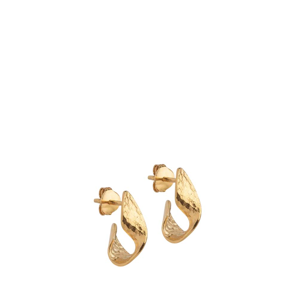 Daia Hoops