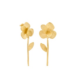 [FHJT01501] Pampalonia Golden Long Earrings